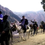 RFID Tags, 360 Degree Surveillance And Round-The-Clock Forces – Inside Amarnath Yatra’s New Safety Net | India News